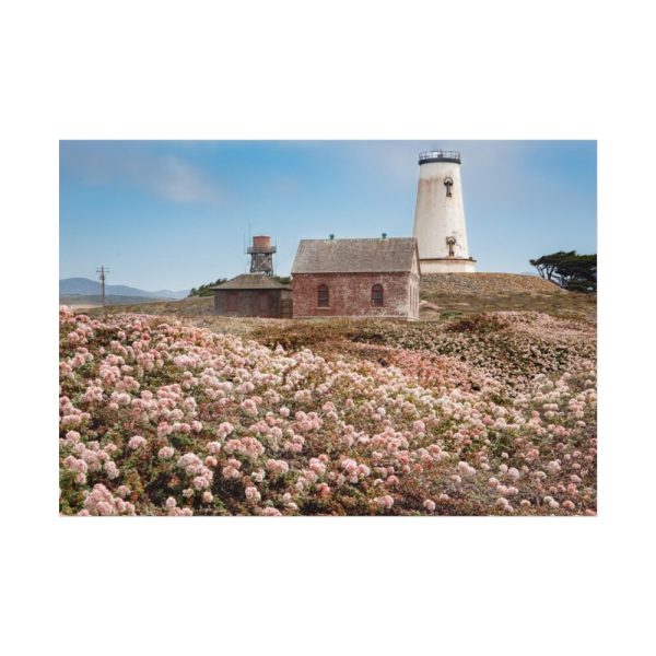 92408-5.jpg The Piedras Blancas Light Station Poster