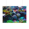 92408-56.jpg Colorful Reefs and Fish Poster