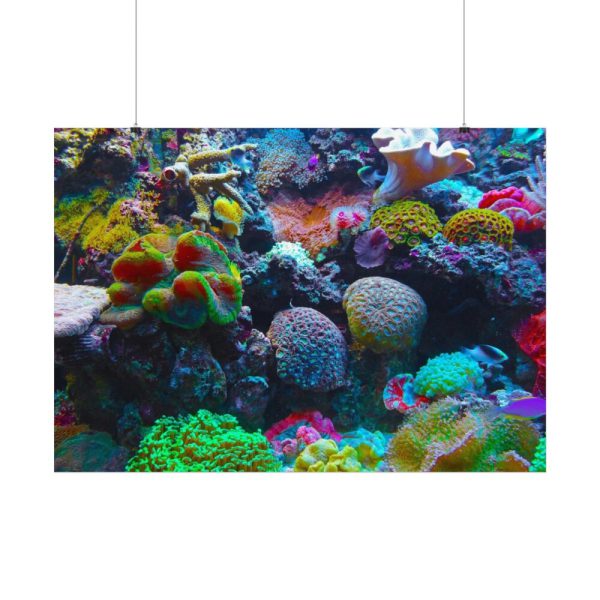 92408-56.jpg Colorful Reefs and Fish Poster