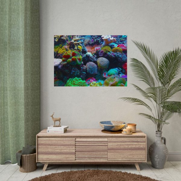 92408-58.jpg Colorful Reefs and Fish Poster