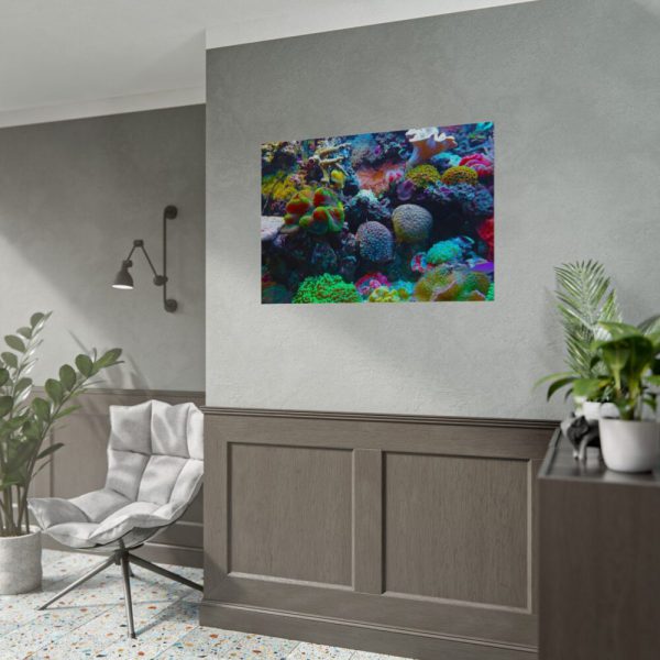 92408-59.jpg Colorful Reefs and Fish Poster