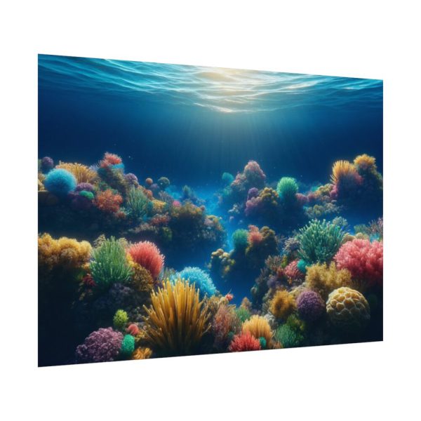 92408-67.jpg Colorful Coral in the Deep Blue Ocean Poster