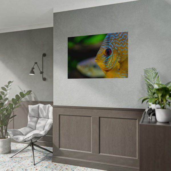 Yellow Exotic Fish Poster