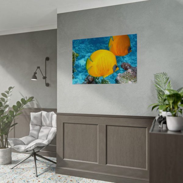 Exotic Fish Poster