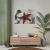 Red Knobbed Starfish Poster