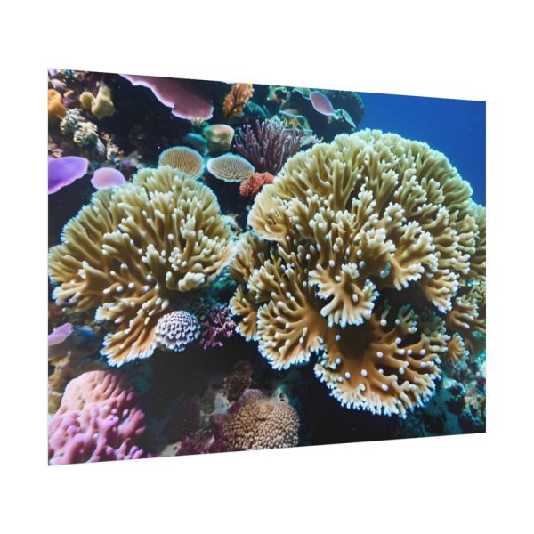 92409-177.jpg Coral Reef In The Ocean Poster