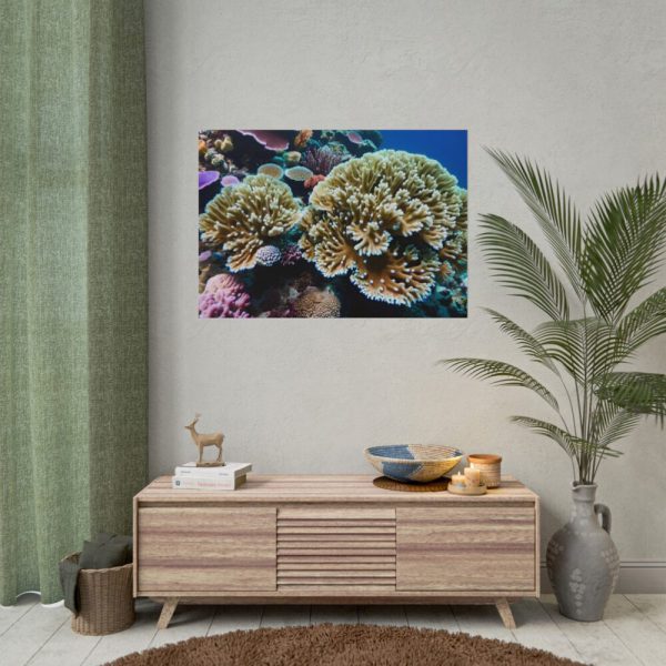 92409-178.jpg Coral Reef In The Ocean Poster