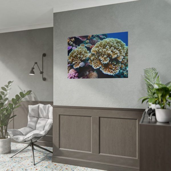 92409-179.jpg Coral Reef In The Ocean Poster