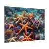 92409-247.jpg Assortment Of Colorful Starfish Poster