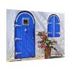 Blue Door and Pink Flower Poster