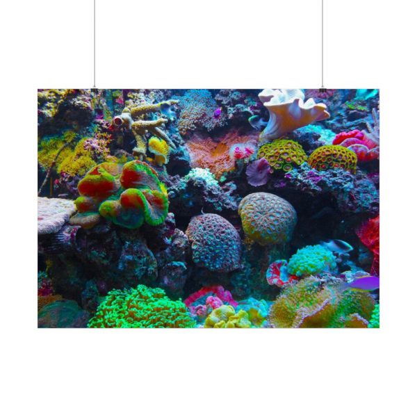 92409-56.jpg Colorful Reefs and Fish Poster