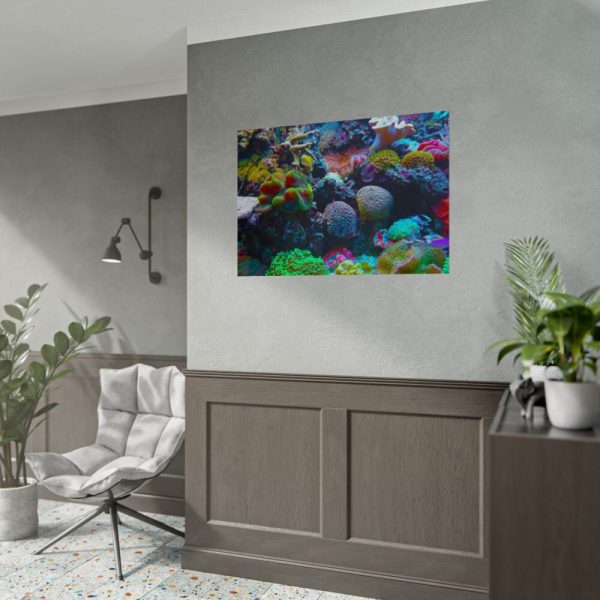 92409-59.jpg Colorful Reefs and Fish Poster