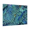 92409-62.jpg Hiding Clown Fish In Corals Poster