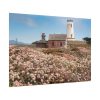 92409-7.jpg The Piedras Blancas Light Station Poster
