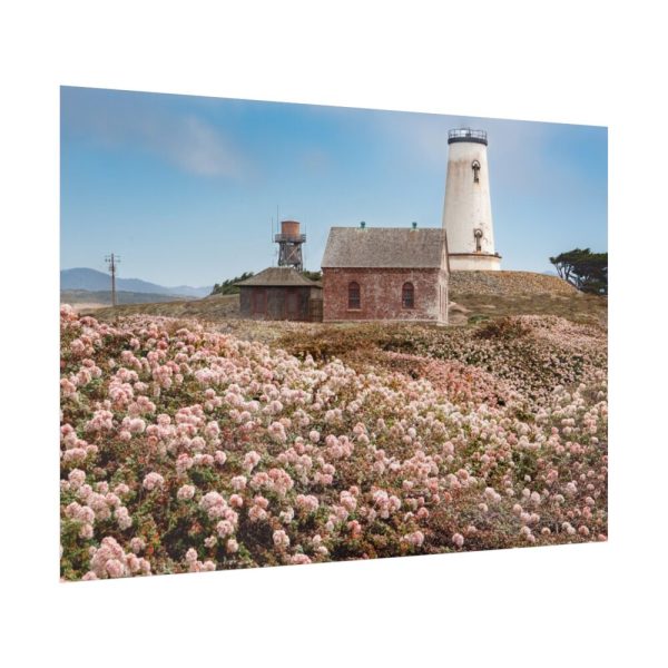 92409-7.jpg The Piedras Blancas Light Station Poster