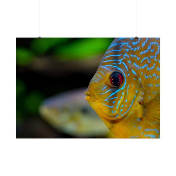 Yellow Exotic Fish Poster