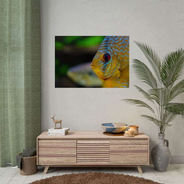 Yellow Exotic Fish Poster