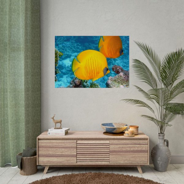Exotic Fish Poster