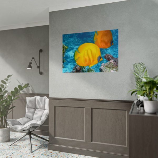 Exotic Fish Poster