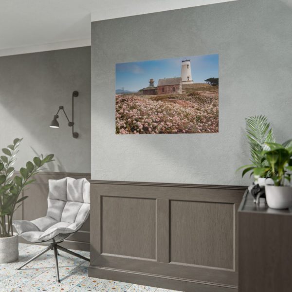 92409-9.jpg The Piedras Blancas Light Station Poster