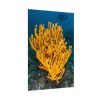 Yellow Corals Poster