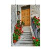 92410-121.jpg Doors With Flowers Poster