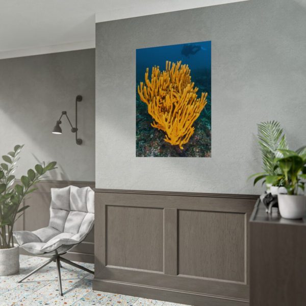 Yellow Corals Poster