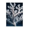 92410-21.jpg Coral Against a Dark Blue Background Poster