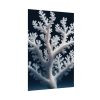 92410-22.jpg Coral Against a Dark Blue Background Poster