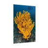 Yellow Corals Poster