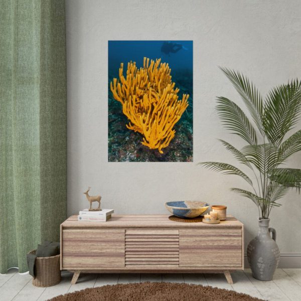 Yellow Corals Poster