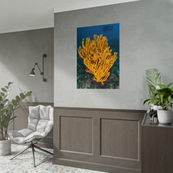 Yellow Corals Poster