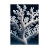 92411-20.jpg Coral Against a Dark Blue Background Poster
