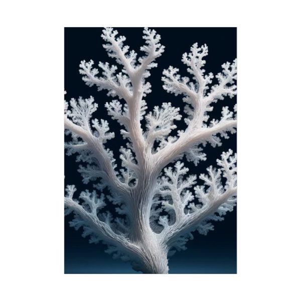 92411-20.jpg Coral Against a Dark Blue Background Poster
