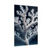 92411-22.jpg Coral Against a Dark Blue Background Poster
