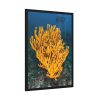 Yellow Corals Framed Poster