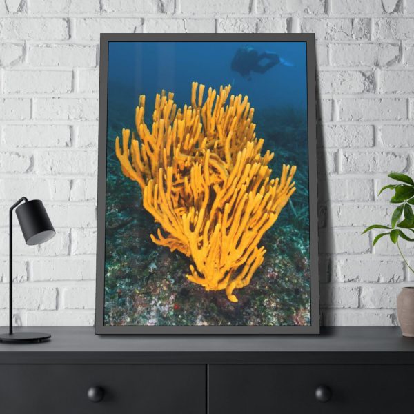 Yellow Corals Framed Poster
