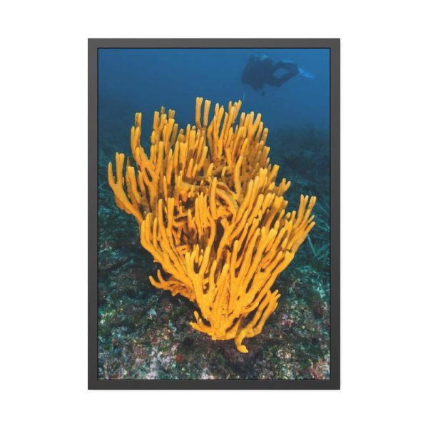 Yellow Corals Framed Poster