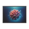 93854-168.jpg Coral With Surrounding Water Bubbles Framed Poster