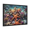 93854-201.jpg Assortment Of Colorful Starfish Framed Poster