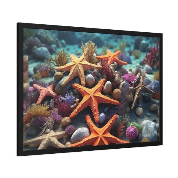 93854-201.jpg Assortment Of Colorful Starfish Framed Poster