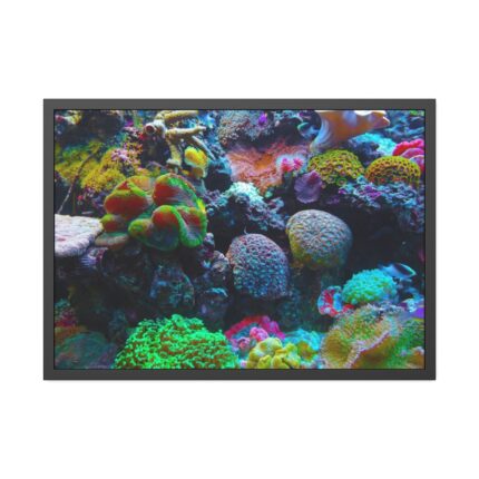 Colorful Reefs and Fish Framed Poster