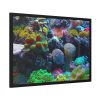 93854-41.jpg Colorful Reefs and Fish Framed Poster