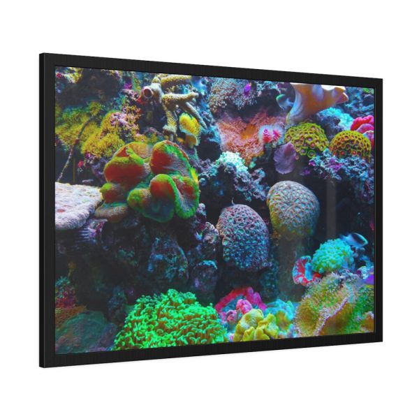 93854-41.jpg Colorful Reefs and Fish Framed Poster