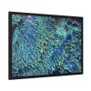 Hiding Clown Fish In Corals Framed Poster