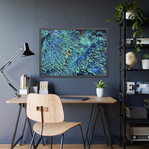 Hiding Clown Fish In Corals Framed Poster