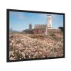 93854-5.jpg The Piedras Blancas Light Station Framed Poster