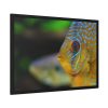 93854-53.jpg Yellow Exotic Fish Framed Poster