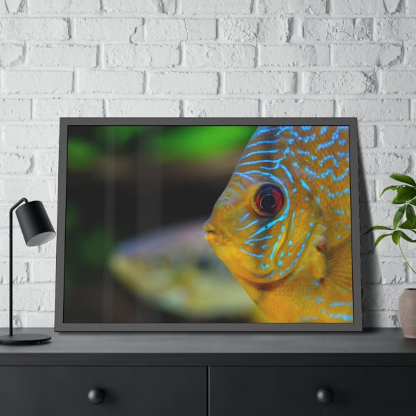 93854-55.jpg Yellow Exotic Fish Framed Poster