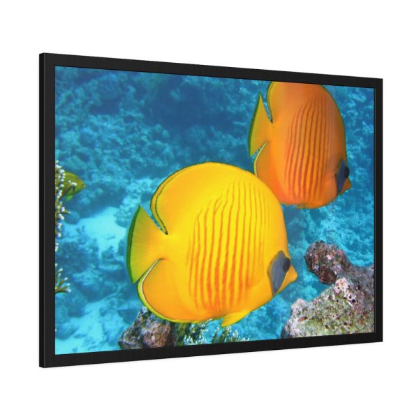 93854-57.jpg Exotic Fish Framed Poster